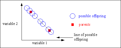 Fig. 4-4: Possible positions of the offspring after line recombination